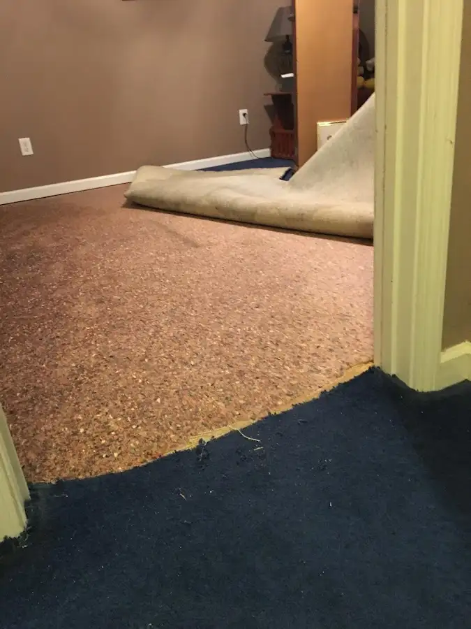 Carpet pad removal revealing water damage during Water Mitigation Services in Buena Vista