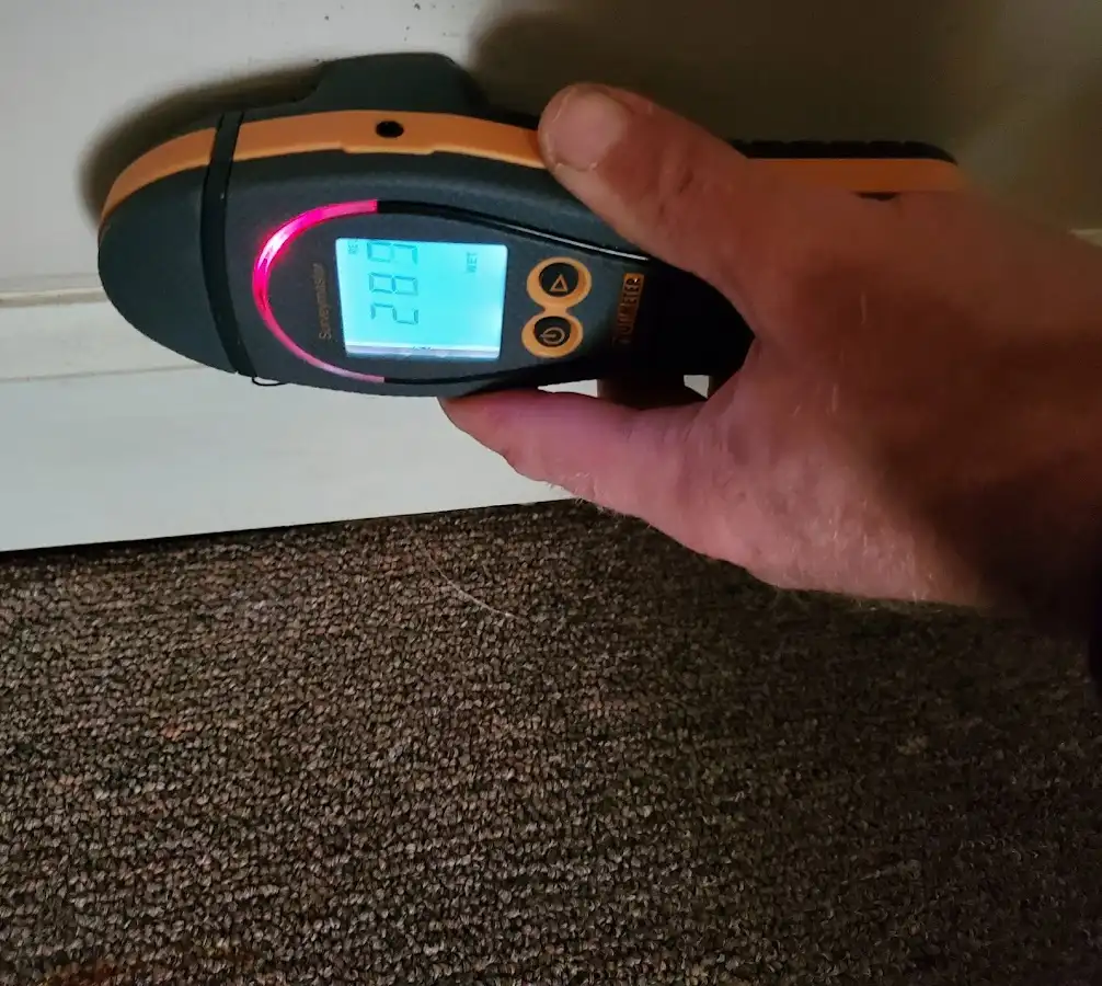 Moisture detection at baseboard during Burst Pipe Cleanup in Buena Vista