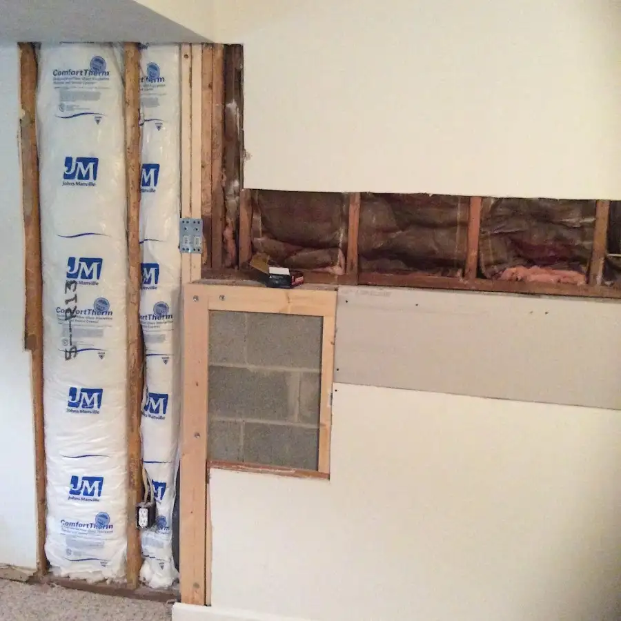 Wall insulation replacement during Odor Removal & Deodorization in Buena Vista